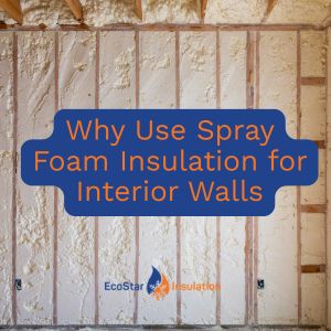 spray foam insulation for interior walls